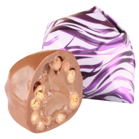 31 جندوليو رايس